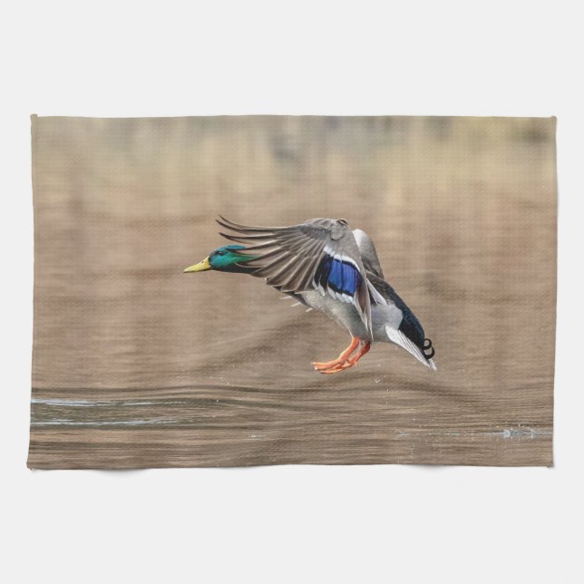 Stockenten-Ente im Flug Geschirrtuch (Horizontal)