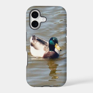 Stockenten-Ente Kaum vorhanden iPhone 5/5S-Hülle