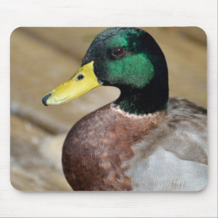 Stockenten-Ente Mousepad