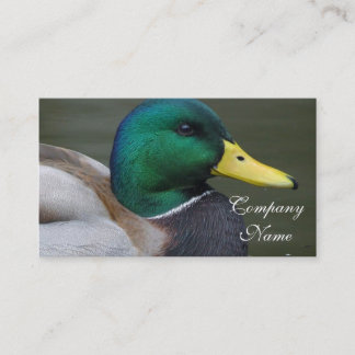 Stockenten-Ente Visitenkarte
