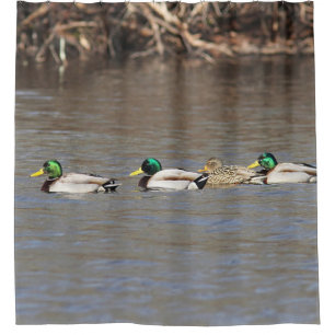 Stockenten-Enten Duschvorhang