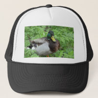 Stockenten-Enten-Hut