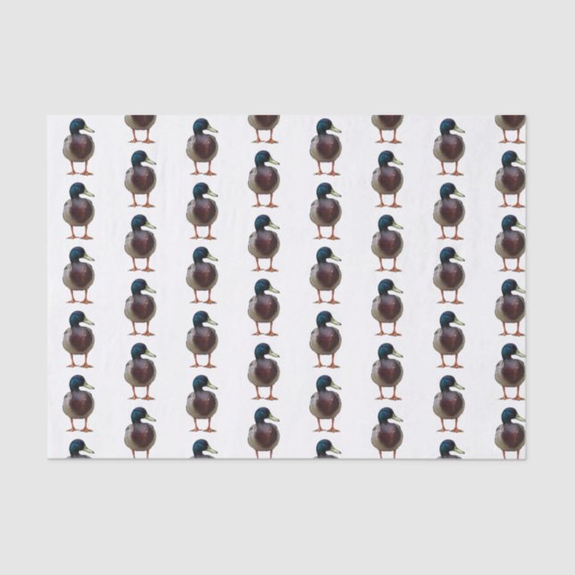Stockenten-Enten-Seidenpapier Seidenpapier (Vorderseite)