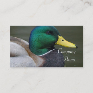 Stockenten-Enten-Visitenkarten Visitenkarte