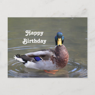 Stockenten-Erpel Wasser Foto Geburtstag Postkarte