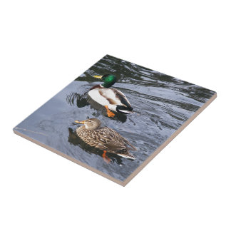Stockenten Fliese