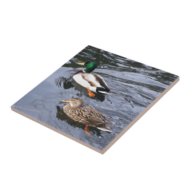 Stockenten Fliese (Seite)