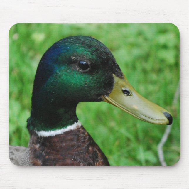 Stockenten-Mausunterlage Mousepad (Vorne)