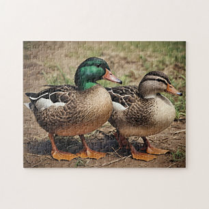 Stockenten-Paar Puzzle
