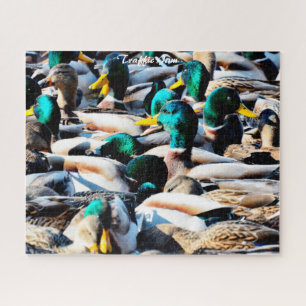 Stockenten Stau Puzzle