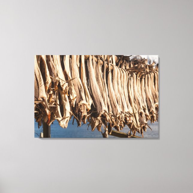 Stockfish Lofoten Leinwanddruck (Vorderseite)