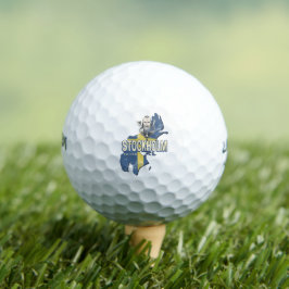 Stockholm Schweden Provinz Karte Vintag Souvenir Golfball