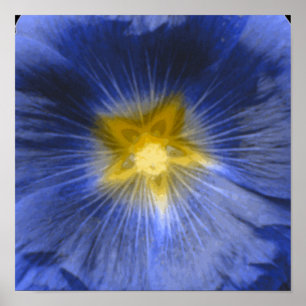 Stockrosenblüte Schönes Blaues Druckbild Poster