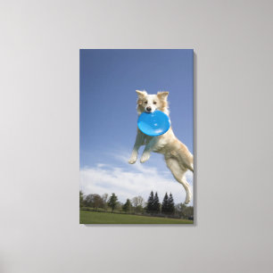 Stockton, Kalifornien, USA Leinwanddruck