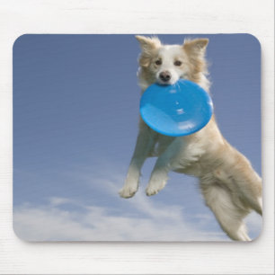 Stockton, Kalifornien, USA Mousepad