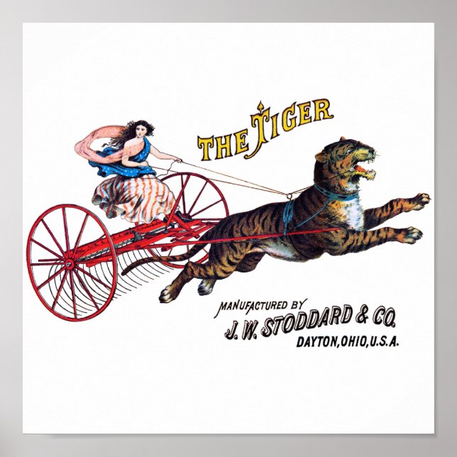 Stoddard Tiger Poster (Vorne)