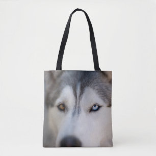 Stoiber Blick auf Alaskan Malamute