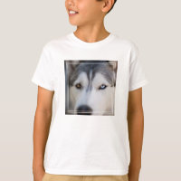 Stoiber Blick auf Alaskan Malamute