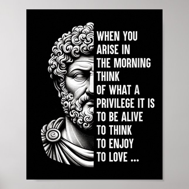 Stoic Philosopher Marcus Aurelius Shirt Motivation Poster (Vorne)