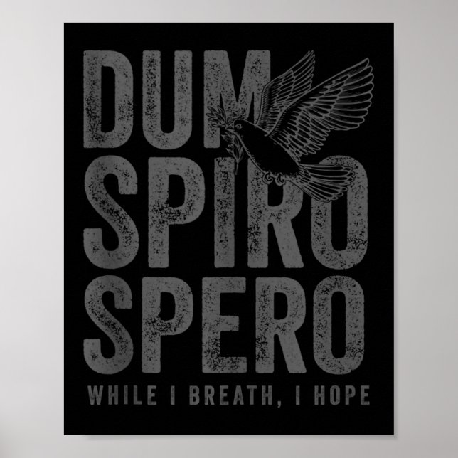 Stoic Philosophy Gray Translation Stoicism Dum Spi Poster (Vorne)