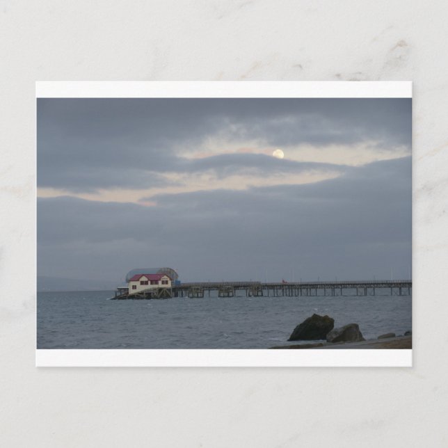 Stolpersteine im Mondlicht Postkarte (Vorderseite)