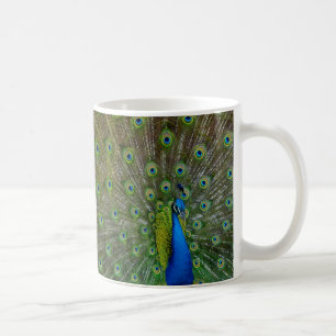 stolz als Pfau Tasse