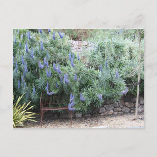 Stolz auf Madeira Postkarte