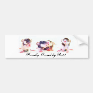 Stolz besessen durch Ratten! Autoaufkleber