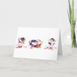 Stolz besessen durch Ratten! Karte