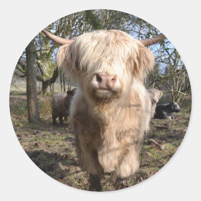 Stolz darauf, schottisch zu sein runder aufkleber (Vorderseite)