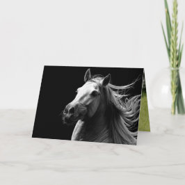 Stolz des weißen Stallion - Grußkarte für Pferde Karte