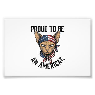 Stolz, ein amerikanischer patriotischer Katzenshir Fotodruck