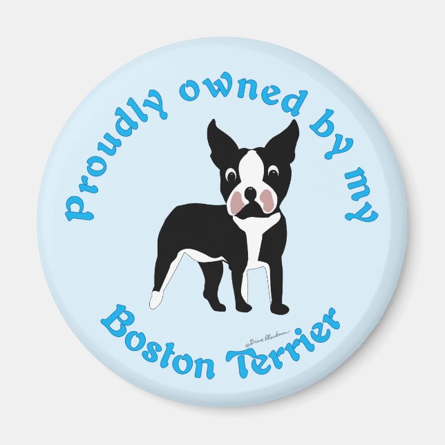 Stolz im Besitz eines Boston Terrier Magnet (Vorne)