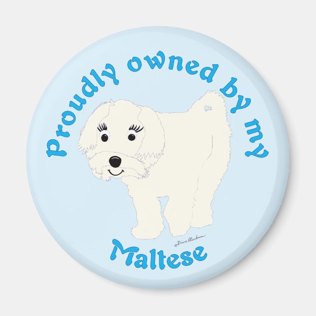 Stolz im Besitz eines Maltesers Magnet (Vorne)