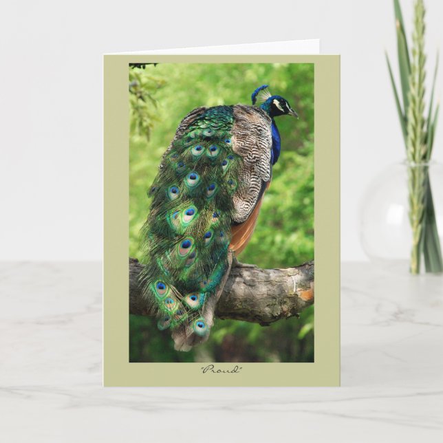 stolz karte (Vorderseite)