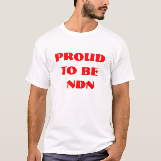 STOLZ, NDN ZU SEIN T-Shirt