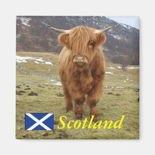 Stolz, Schottin zu sein! Magnet