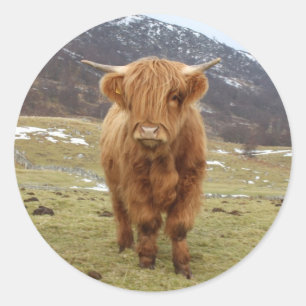 Stolz, Schottin zu sein! Runder Aufkleber