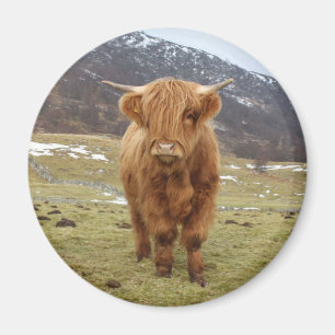 Stolz, schottisch zu sein! magnet