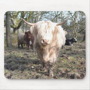 Stolz, schottisch zu sein mousepad