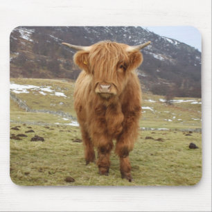 Stolz, schottisch zu sein! mousepad