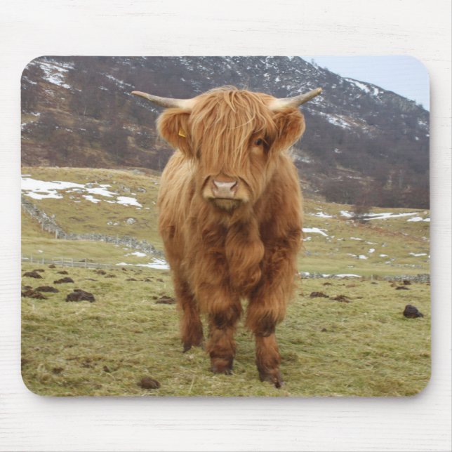 Stolz, schottisch zu sein! mousepad (Vorne)