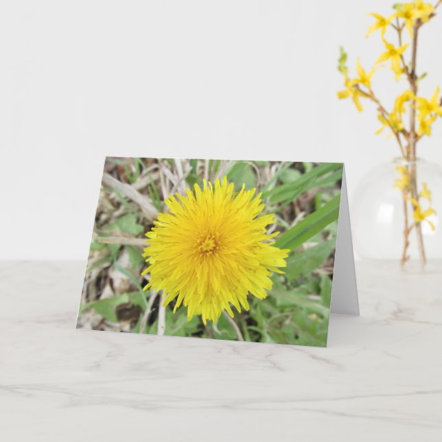 Stolze Dandelion-Blume. Karte (Gelbe Blume)