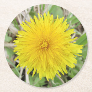 Stolze Dandelion-Blume. Runder Pappuntersetzer