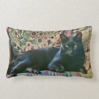Stolze Mietze, schwarze Katzen-Amerikaner MoJo Lendenkissen