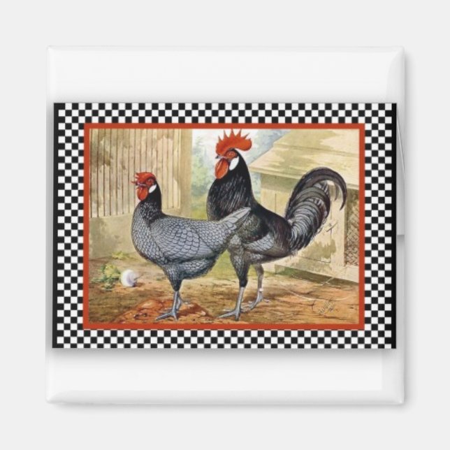 Stolze Rooster Magnet (Vorne)