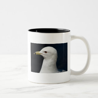 Stolze Seemöwe Zweifarbige Tasse