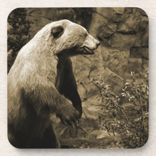 Stolzer Bär Getränkeuntersetzer