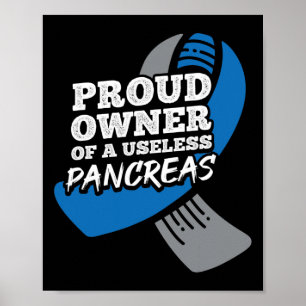 stolzer Besitzer nutzloser Pankreasdiabetes Poster