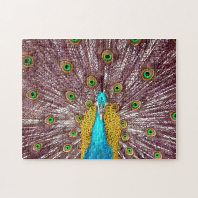 stolzer Pfau Puzzle (Horizontal)